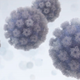 Illustration for article titled Men Can Get HPV, Too